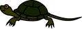 Cute cartoon hatchling of European pond turtle